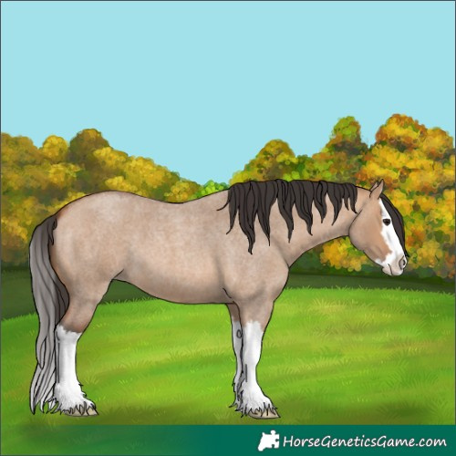 Horse Color:Bay Roan Dun Splash 