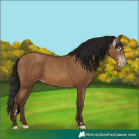 Horse Color:Gray Amber Champagne 