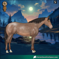 Horse Color:Sable Champagne