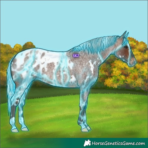 Horse Color:Thunderstruck White Spotted Silver Bay Roan Blanket