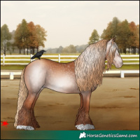 Horse Color:Gray Gold Champagne 