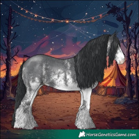 Horse Color:White Spotted Black