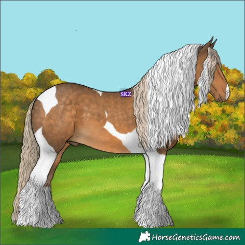 Horse Color:Chocolate Palomino Tobiano 