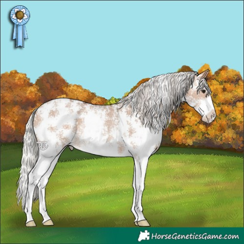 Horse Color:Silver Bay Dun Sabino Rabicano 