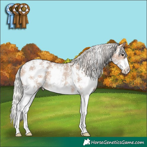 Horse Color:Silver Bay Dun Sabino Rabicano