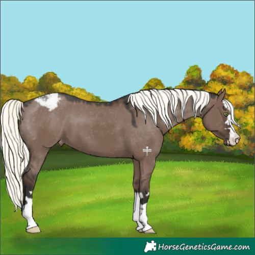 Horse Color:Liver Red Dun Mushroom Snowcap 