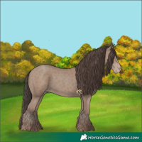 Horse Color:Classic Champagne