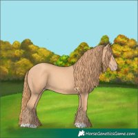 Horse Color:Gold Champagne