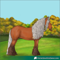 Horse Color:Silver Bay