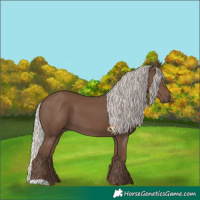 Horse Color:Silver Black