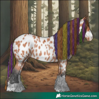 Horse Color:Painted Bay Near Leopard 