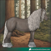 Horse Color:Silver Black