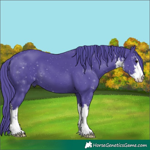 Horse Color:Watercolor White Spotted Black 