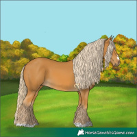 Horse Color:Palomino
