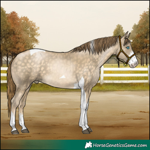 Horse Color:Buckskin Pearl Sabino Tobiano 
