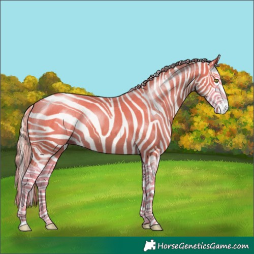 Horse Color:Gold Champagne Splash
