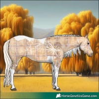 Horse Color:Plaid Silver Buckskin Ice Tobiano