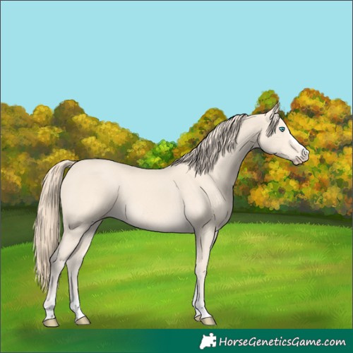 Horse Color:Perlino 