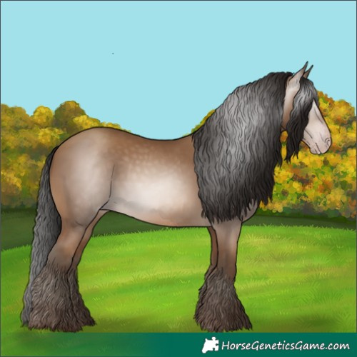 Horse Color:Gray Amber Champagne 