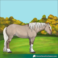 Horse Color:White Spotted Liver Red Dun Mushroom Tobiano