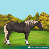 Horse Color:White Spotted Liver Chestnut Tobiano Rabicano