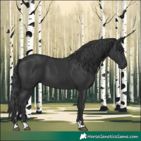 Horse Color:Black 