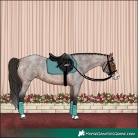 Horse Color:Brown Roan Splash 