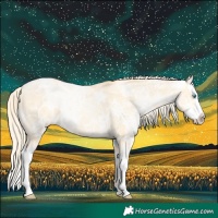 Horse Color:Palomino Ice Pearl Splash