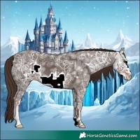 Horse Color:Liver Chestnut Ice Frame