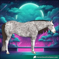 Horse Color:Liver Chestnut Ice Splash