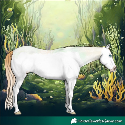Horse Color:Buckskin Ice Pearl Dun Splash Frame Rabicano 