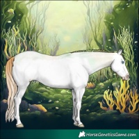 Horse Color:Buckskin Ice Pearl Dun Splash Frame Rabicano