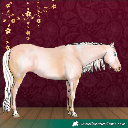 Horse Color:Palomino Ice Roan Pearl Dun Splash Rabicano 