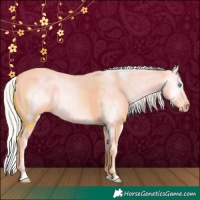 Horse Color:Palomino Ice Roan Pearl Dun Splash Rabicano