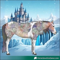 Horse Color:Nacre Buckskin Ice Splash Tobiano Rabicano