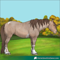 Horse Color:Amber Champagne Sabino Tobiano Varnish  and Amber Champagne Sabino Tobiano Varnish 
