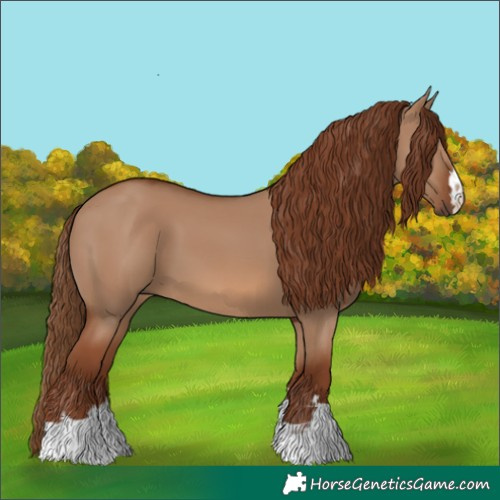 Horse Color:Red Dun 