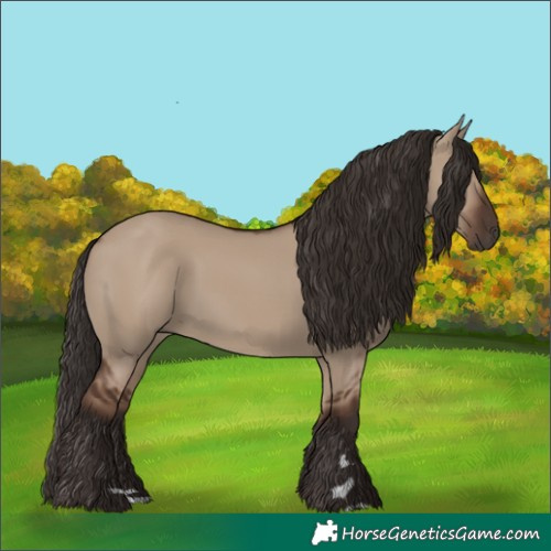 Horse Color:Liver Red Dun