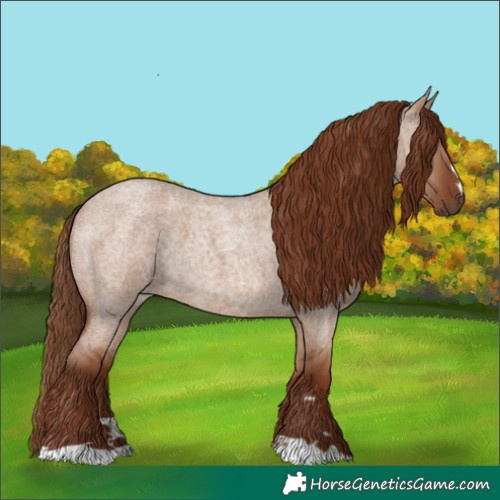 Horse Color:Red Dun Roan 