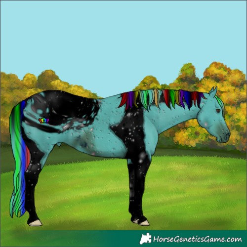 Horse Color:ERROR: UNKNOWN ANOMALY