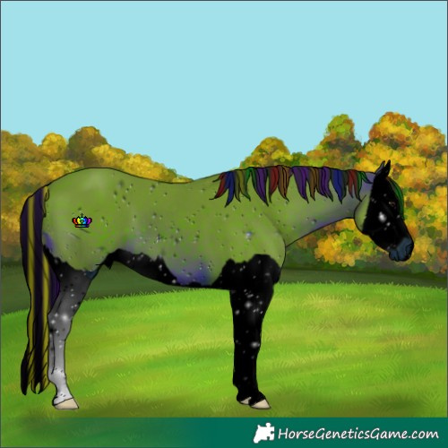 Horse Color:ERROR: UNKNOWN ANOMALY