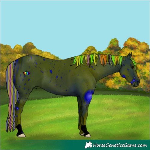 Horse Color:ERROR: UNKNOWN ANOMALY