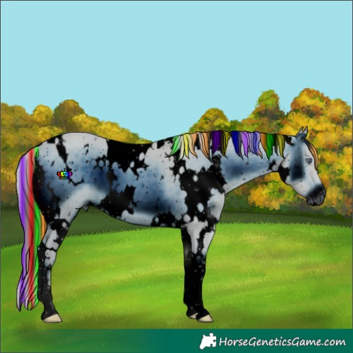 Horse Color:ERROR: UNKNOWN ANOMALY