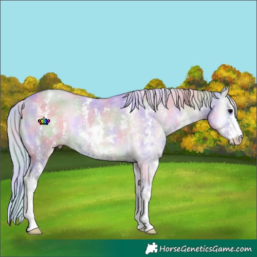 Horse Color:Nacre Watercolor Silver Brown Onyx Sabino Rabicano
