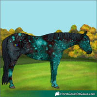 Horse Color:ERROR: UNKNOWN ANOMALY