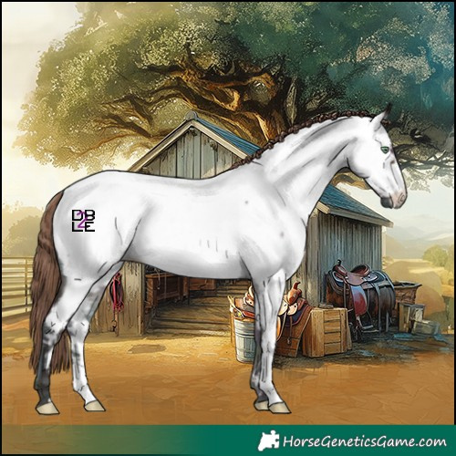 Horse Color:Midnight Amber Champagne Roan Onyx Near Fewspot