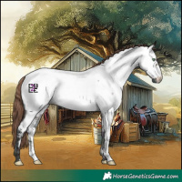 Horse Color:Midnight Amber Champagne Roan Onyx Near Fewspot 