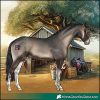 Horse Color:Blue Onyx