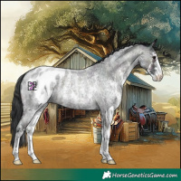 Horse Color:Midnight Blue Onyx Ice Roan Sabino Blanket 