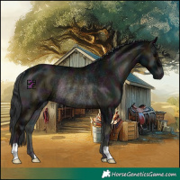 Horse Color:Midnight Blue Onyx Rabicano 